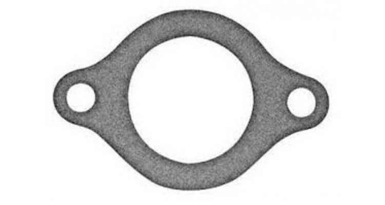 Termostata blīve, 27-33918